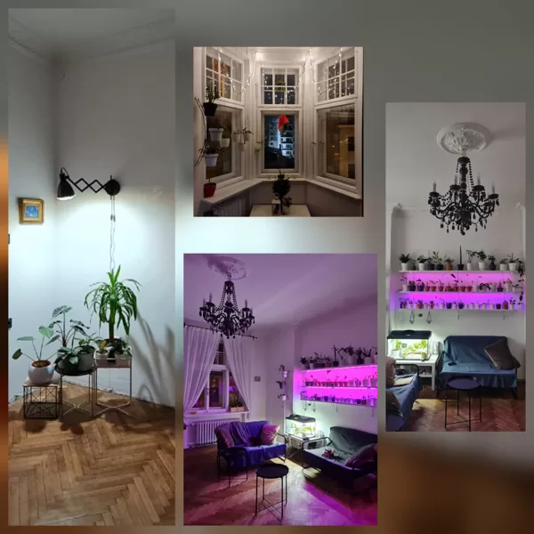 RESTAURACIÓN DE APARTAMENTO HISTÓRICO